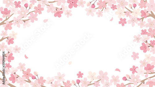 桜 イラスト フレーム 