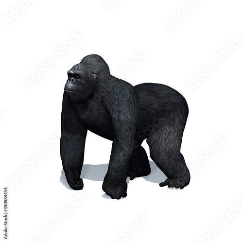 Wild animals - gorilla with shadow on the floor - isolated on white background - 3D illustration