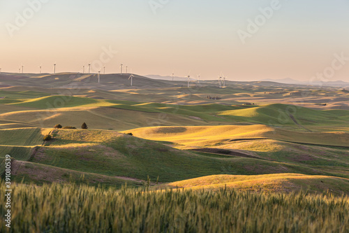 Wind Turbines farm in rolling wheat field in in Palouse region, Washington, USA.