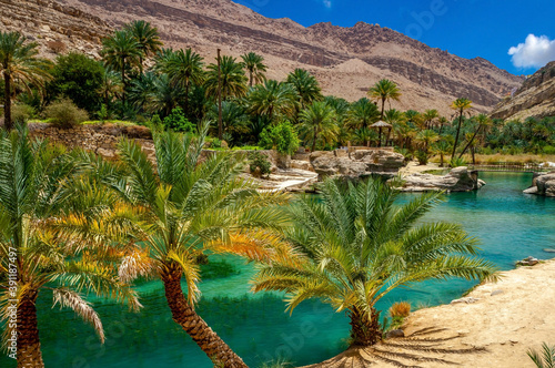 Oasis in the desert of Oman