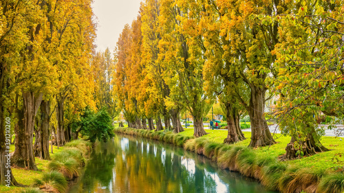 The Avon River in downtown Christchurch, New Zealand, with vibrant autumn foliage on poplar trees which line the riverbank.