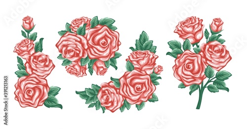 Set collection flowers roses, red buds and green leaves, isolated on white background - Vector
