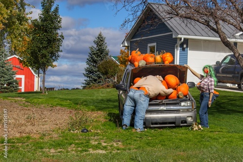 2043 - Lippincott Pumpkins I 