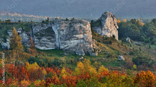 Jura Krakowsko – Częstochowska. Skała Szafa.