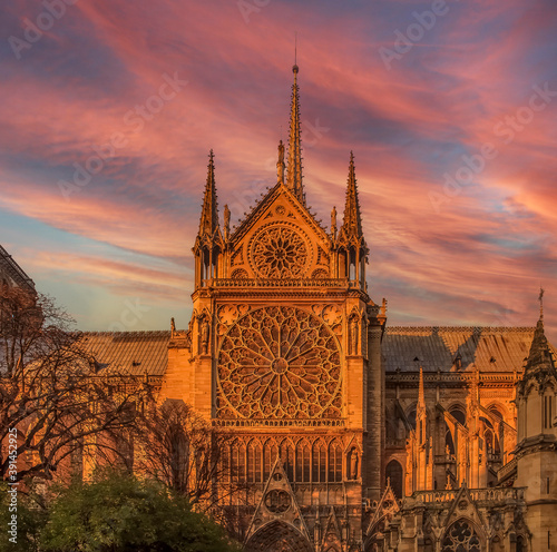The southern facade of Notre Dame de Paris Cathedral with the rose window and ornate spires colored by the warm light of sunset in Paris, France