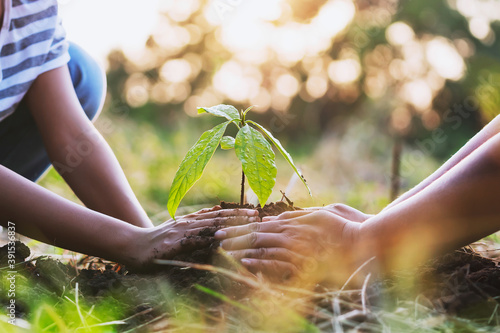 mother with children helping planting tree in nature for save earth. environment eco concept