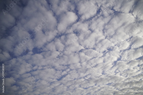 nuages altocumulus alsace france soirée fin d'après midi