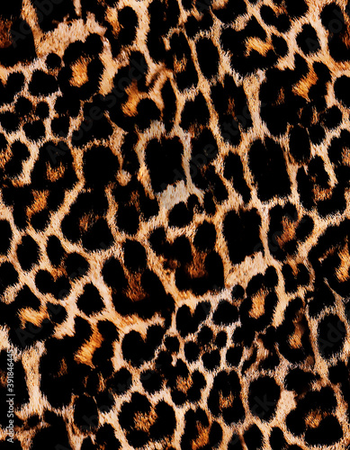 spotted animalier texture