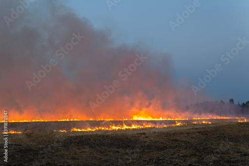farm field stubble burning