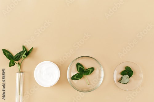 Laboratory glassware and cream, herb on beige background. Natural medicine, cosmetic research, bio science, organic skin care products. Flat lay, top view, copy space.
