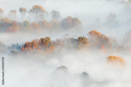 Autumn colors at sunrise over the misty forest