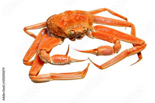 Hong Kong 2011 : A Steamed Matsuba Crab Without Background