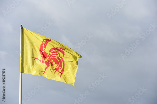 drapeau wallonie wallon Belgique coq 
