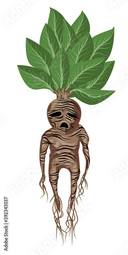 living monster mandragora mandrake crying plant