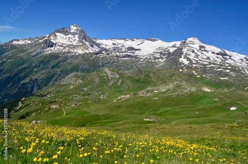 View of the glaciers of the Vanoise National Park from Bellecombe, France