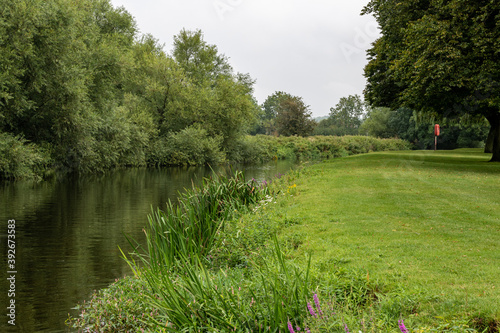 Grassy edge of the river looking along the bend