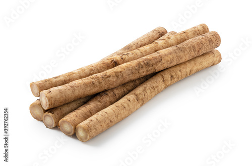 Burdock on a white background