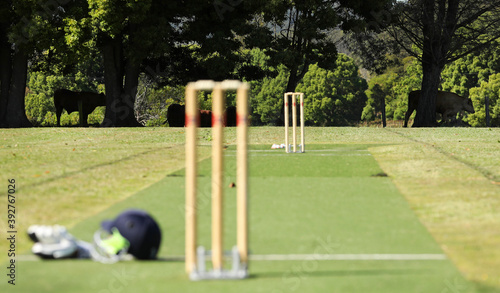 A view of a regional country cricket ground and pitch with farms and cows in the background. Wicket and stumps deliberately blurred.