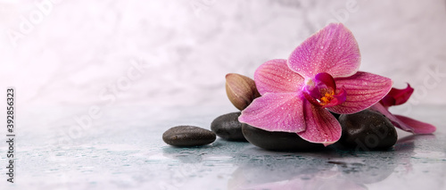 wet orchid flower with spa stones on white marble background. wellness beauty treatment. banner copy space