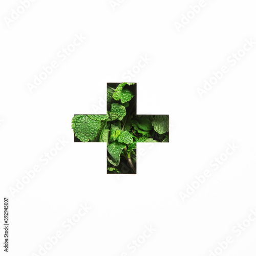 Plus summation sign or cross of green natural mint, cut paper isolated on white. Menthol peppermint font