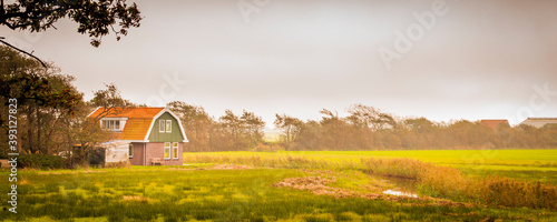 Corloful banner farm landscape with traditional island house Wadden island Texel, North Holland, Netherlands