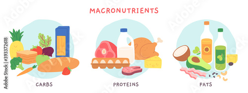 Food macronutrients. Fat, carbohydrate and protein foods groups with fruits and dairy products. Nutrient complex diet vector infographic. Illustration eating ingredient, grocery nutrition for cooking