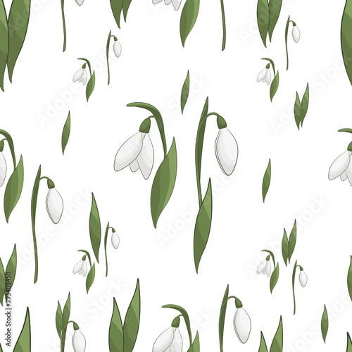 The snowdrops seamless pattern. Spring flowers and leaves ornament on white and transparent background.