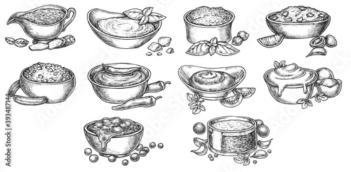 Sauce seasoning dip bowl with ingredient hand drawn sketch. Mayonnaise, ketchup, mustard, wasabi, bechamel food condiment ink engraved menu set vector illustration isolated on white background