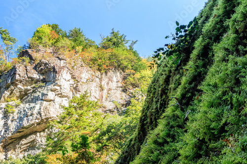 笹の滝から見上げた山肌の紅葉と苔むした岩 奈良県十津川村