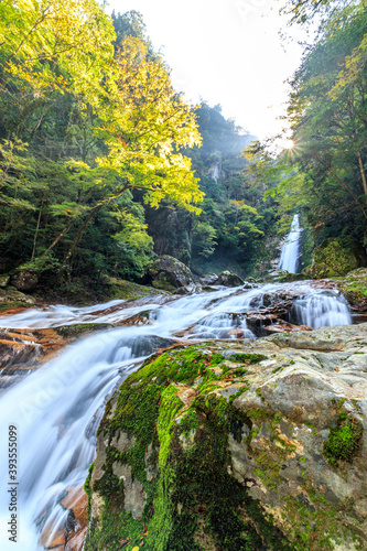 笹の滝 奈良県十津川村 Sasa waterfall Nara-ken Totsukawa village