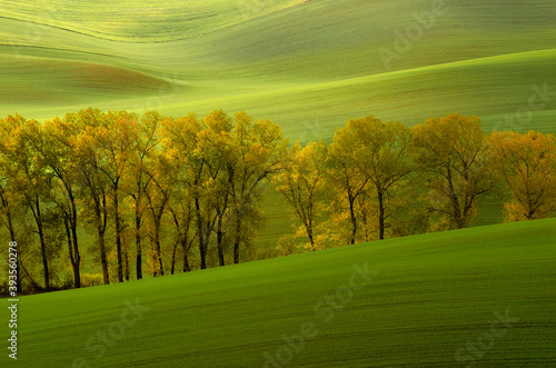 Zielone pola Morawy Południowe -Czeska Toskania