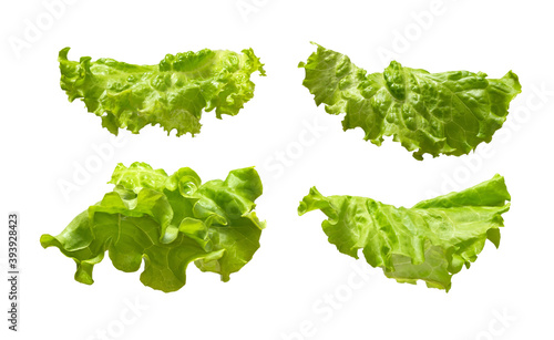 Fresh lettuce leaves isolated on white background