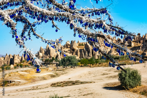 The branches of old tree decorated with evil eye amulets Nazars, Goreme, Cappadocia, Turkey.