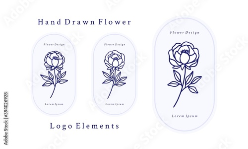 Set of hand drawn vintage botanical rose flower, peony illustration and leaf branch elements for feminine logo and beauty brand