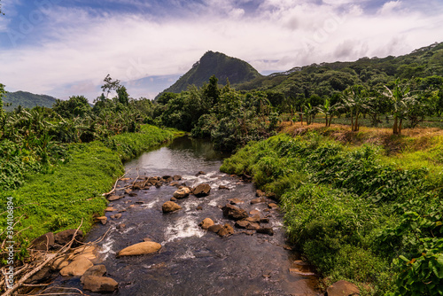 rock river in tropical jungle with big mountain in raiatea french polynesia