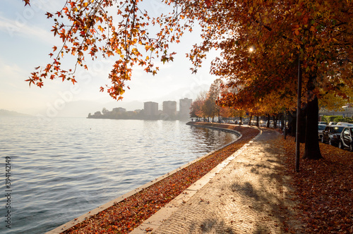 Tree-lined lakeside promenade in autumn in Omegna on Lake Orta