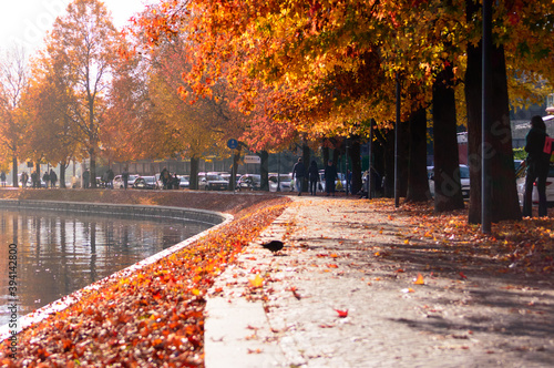 Autumn landscape view of the lake side of Omegna on Orta lake. Nice red foliage on the shaded walk way 