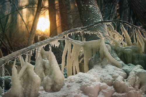 Krajobraz zimowa sceneria skute lodem gałęzie i drzewa w lesie