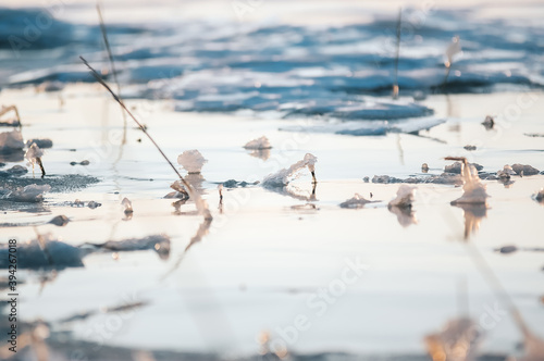 Kadr zimowa kompozycja woda pokryta lodem i śniegiem z przebijającymi spod niego trzcinami