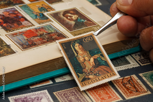 The philatelist holds the postage stamp using tweezers above the stamp album