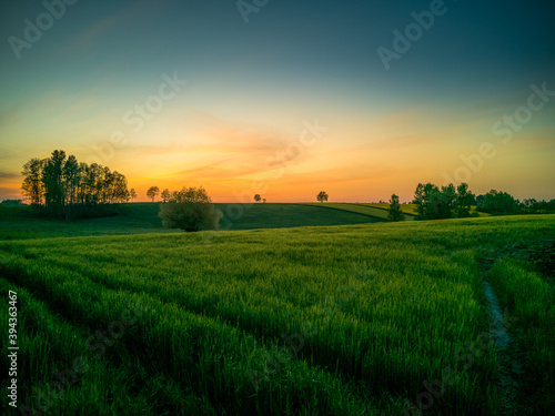 Rural landscape