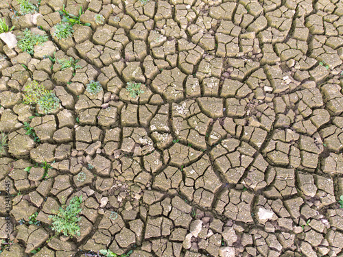 Drought in the lake