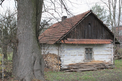 an old farmhouse, wooden house, cottage, folklore farm, with a large tree next to it and cut wood stacked next to it