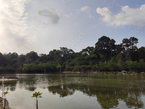 A small lake in the middle of the Koh Rong island. Tropical vegetation near the lake. Cambodia. South-East Asia