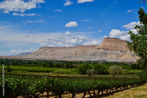 Winery in Palisades, western Colorado with the Book Cliff Mountains and blue sky in the background.