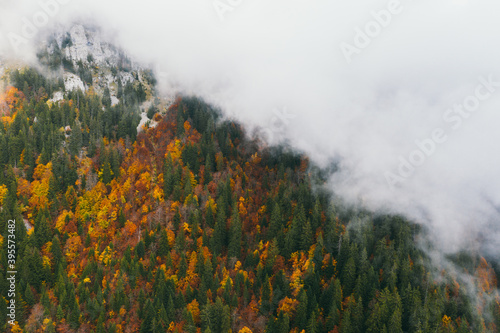 Autumn forest. Mountains in thick clouds.