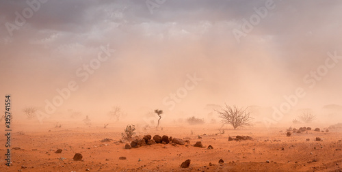 Dusty Sandstorm in Ethiopian Desert