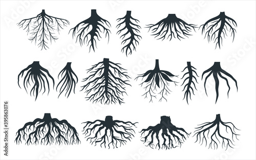 assorted plant root type shape vector graphic design template set for sticker, decoration, cutting and print file