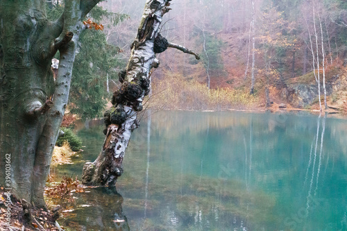 Jeziorko Błękitne Jesień Drzewo Wskaźnik Odbicia w wodzie 2
