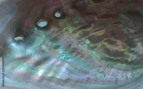 close up macro shot of a nacre or mother of pearl lining of a mollusk shell in iridescent shades of turquoise, sea foam green and lavender, makes an artistic background